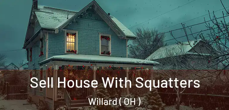  Sell House With Squatters Willard ( OH )
