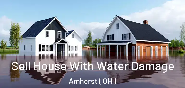  Sell House With Water Damage Amherst ( OH )
