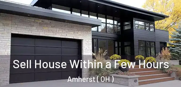  Sell House Within a Few Hours Amherst ( OH )