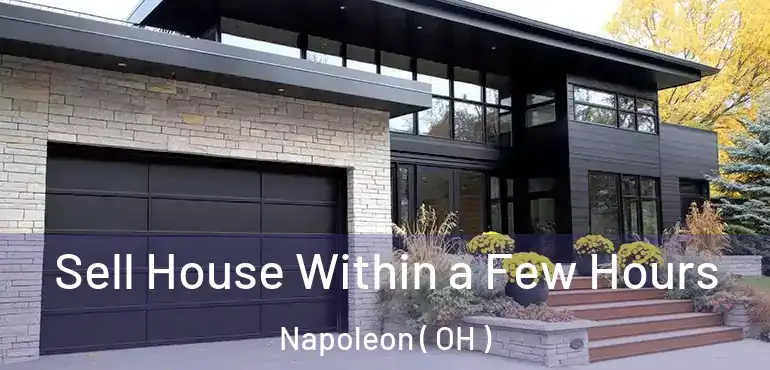  Sell House Within a Few Hours Napoleon ( OH )