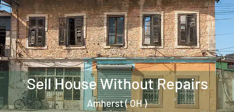  Sell House Without Repairs Amherst ( OH )