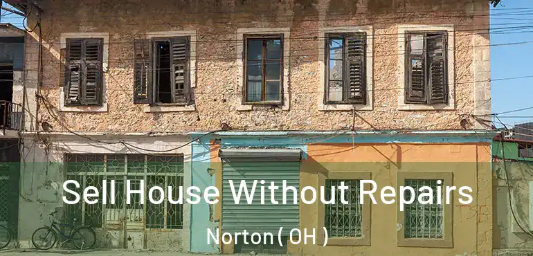  Sell House Without Repairs Norton ( OH )