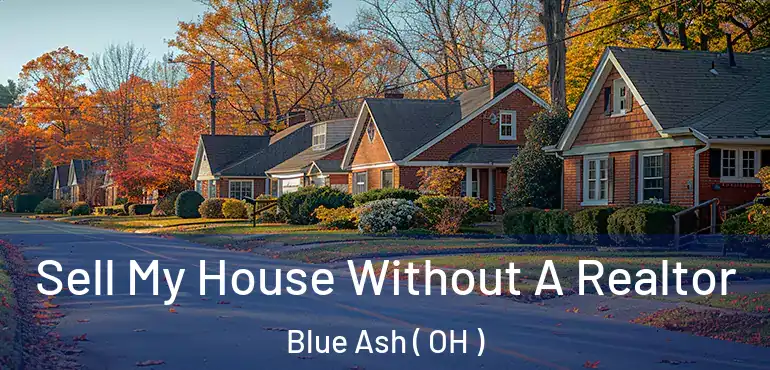  Sell My House Without A Realtor Blue Ash ( OH )