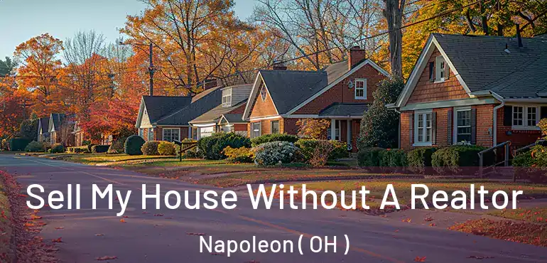  Sell My House Without A Realtor Napoleon ( OH )
