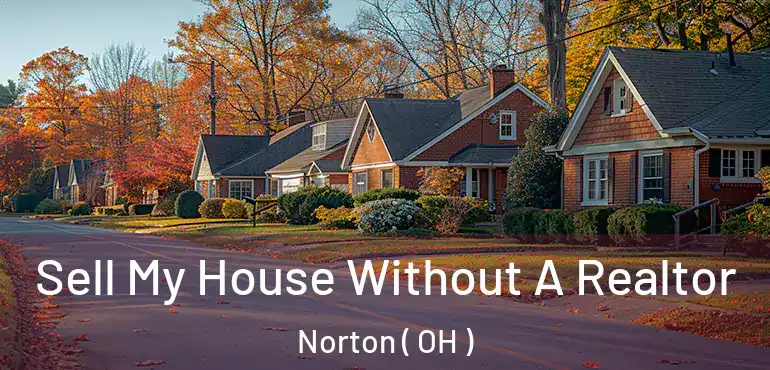  Sell My House Without A Realtor Norton ( OH )