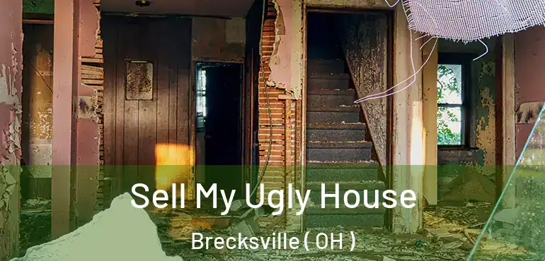  Sell My Ugly House Brecksville ( OH )