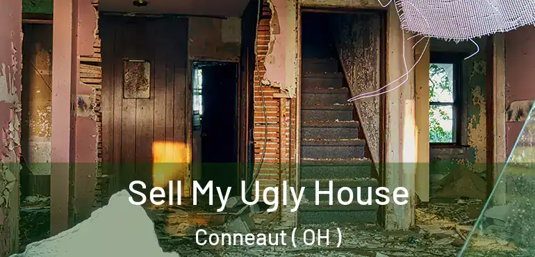  Sell My Ugly House Conneaut ( OH )