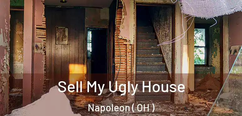  Sell My Ugly House Napoleon ( OH )