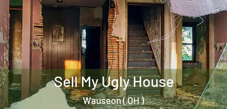  Sell My Ugly House Wauseon ( OH )