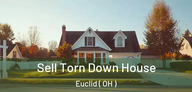  Sell Torn Down House Euclid ( OH )