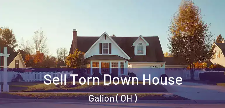  Sell Torn Down House Galion ( OH )