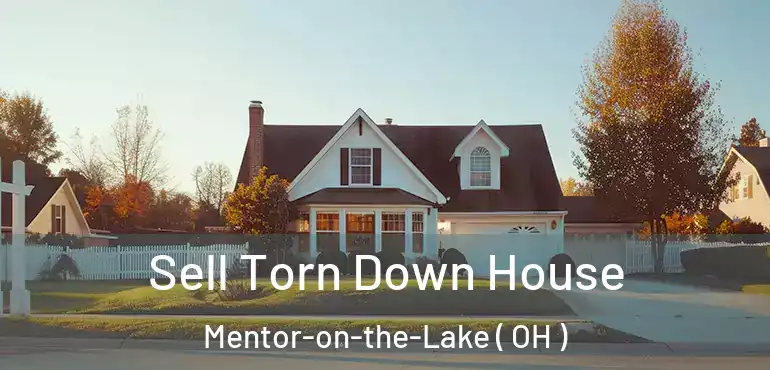  Sell Torn Down House Mentor-on-the-Lake ( OH )