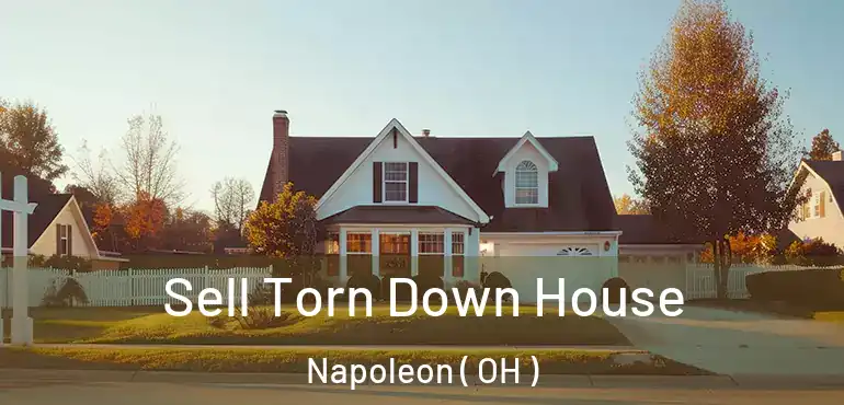  Sell Torn Down House Napoleon ( OH )