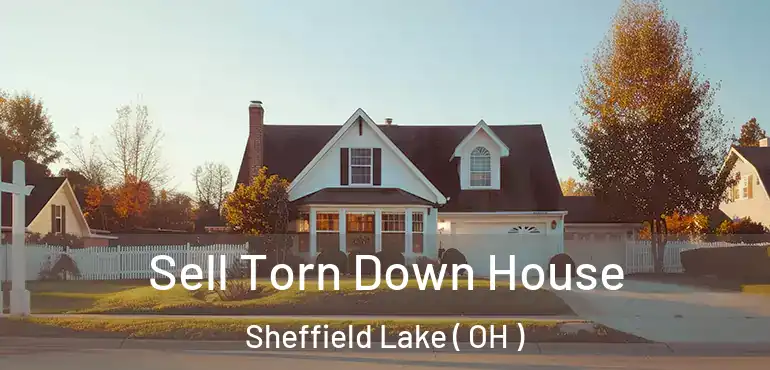  Sell Torn Down House Sheffield Lake ( OH )