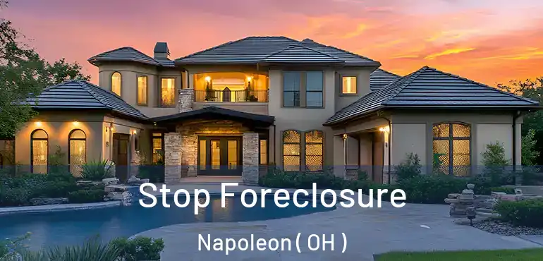  Stop Foreclosure Napoleon ( OH )